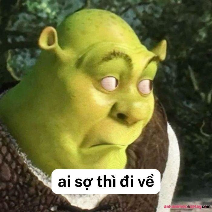 ai sợ thì đi về meme bựa
